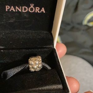 MOTHERS DAY SALE♥️😍😍Pandora charm